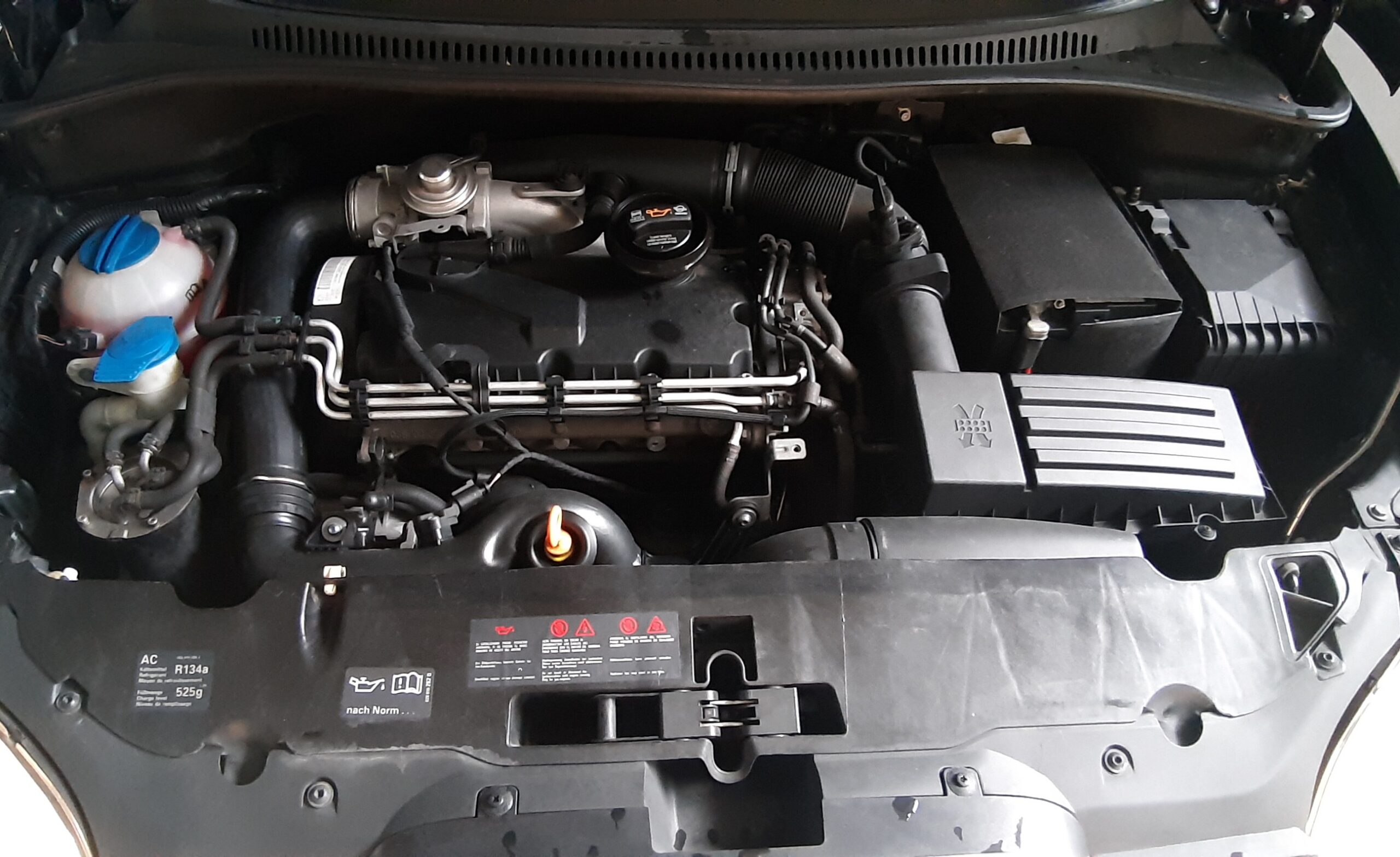 Motor