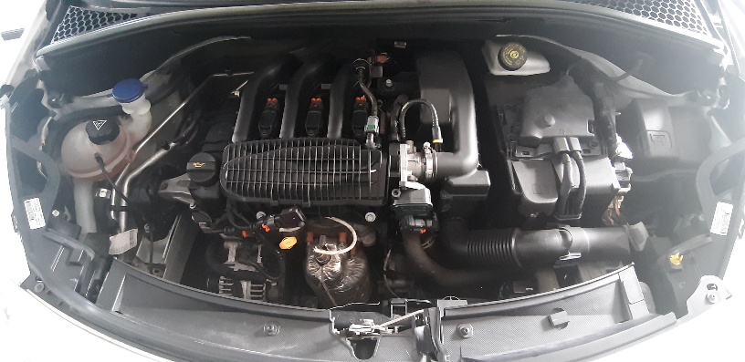 Motor